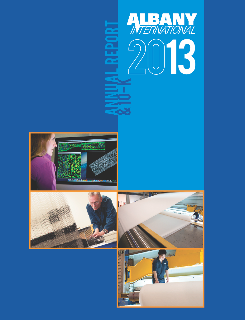 2013 Annual Report cover